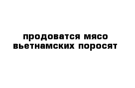  продоватся мясо вьетнамских поросят